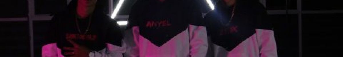 Anyel